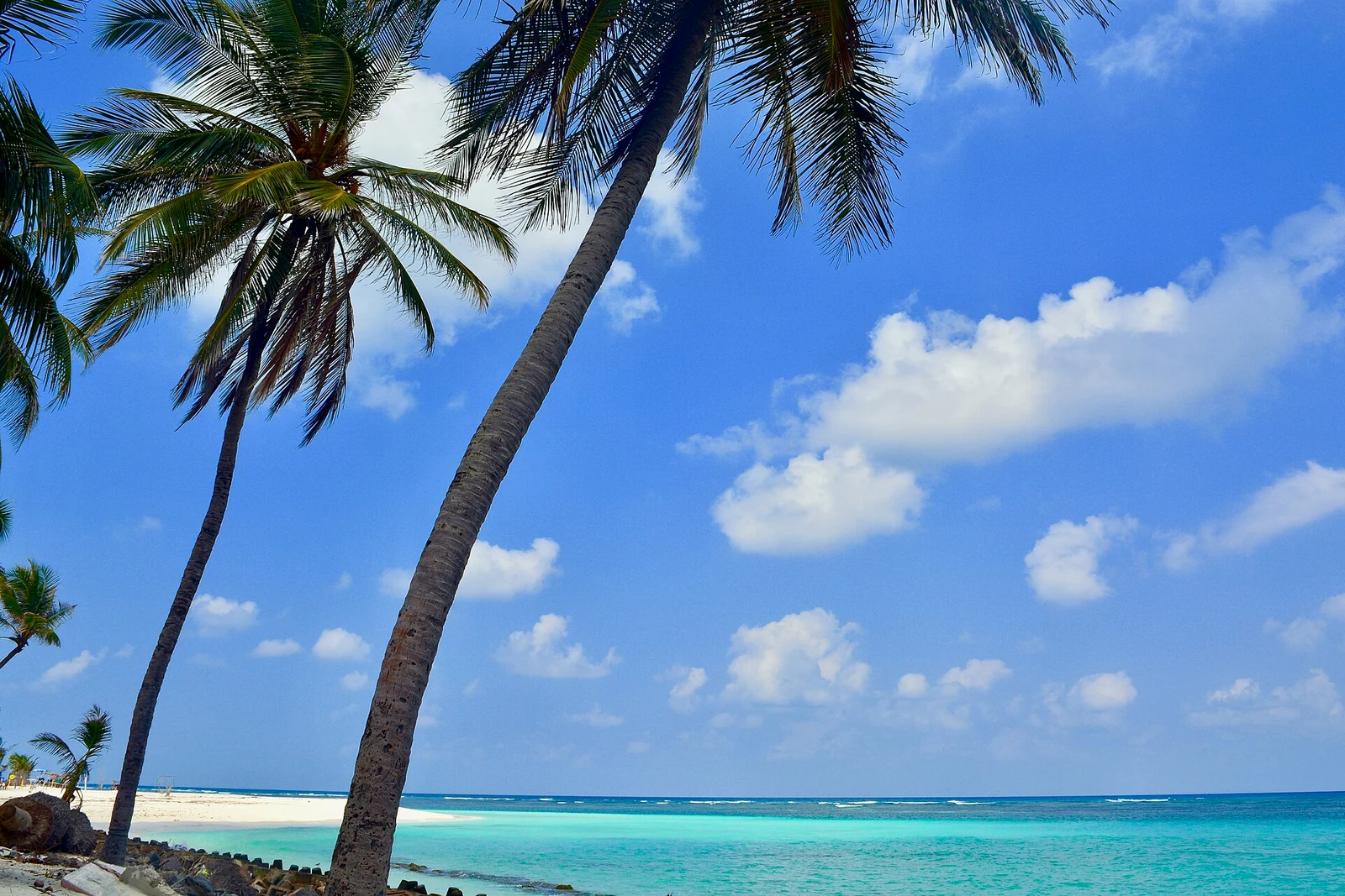 Palm-lined white sand beach and turquoise lagoon in Lakshadweep